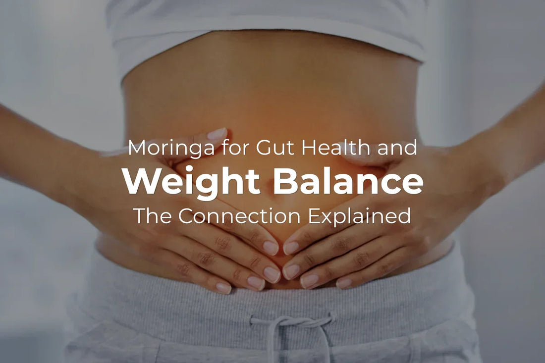 Moringa for Gut Health and Weight Balance: The Connection Explained