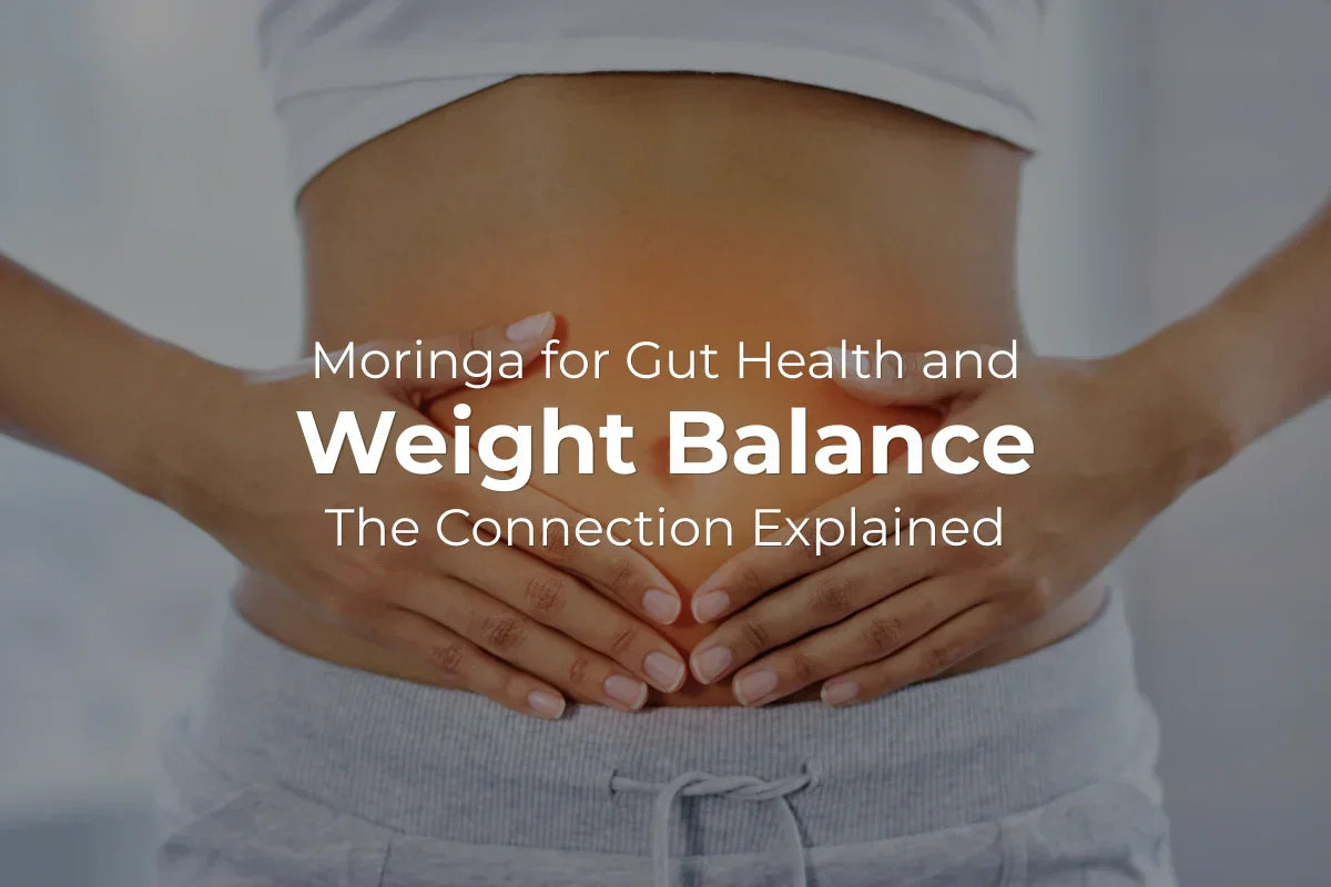 Moringa for Gut Health and Weight Balance: The Connection Explained