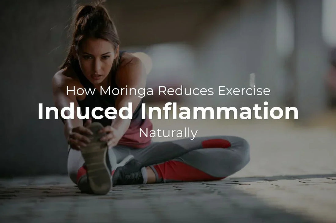 How Moringa Reduces Exercise-Induced Inflammation Naturally