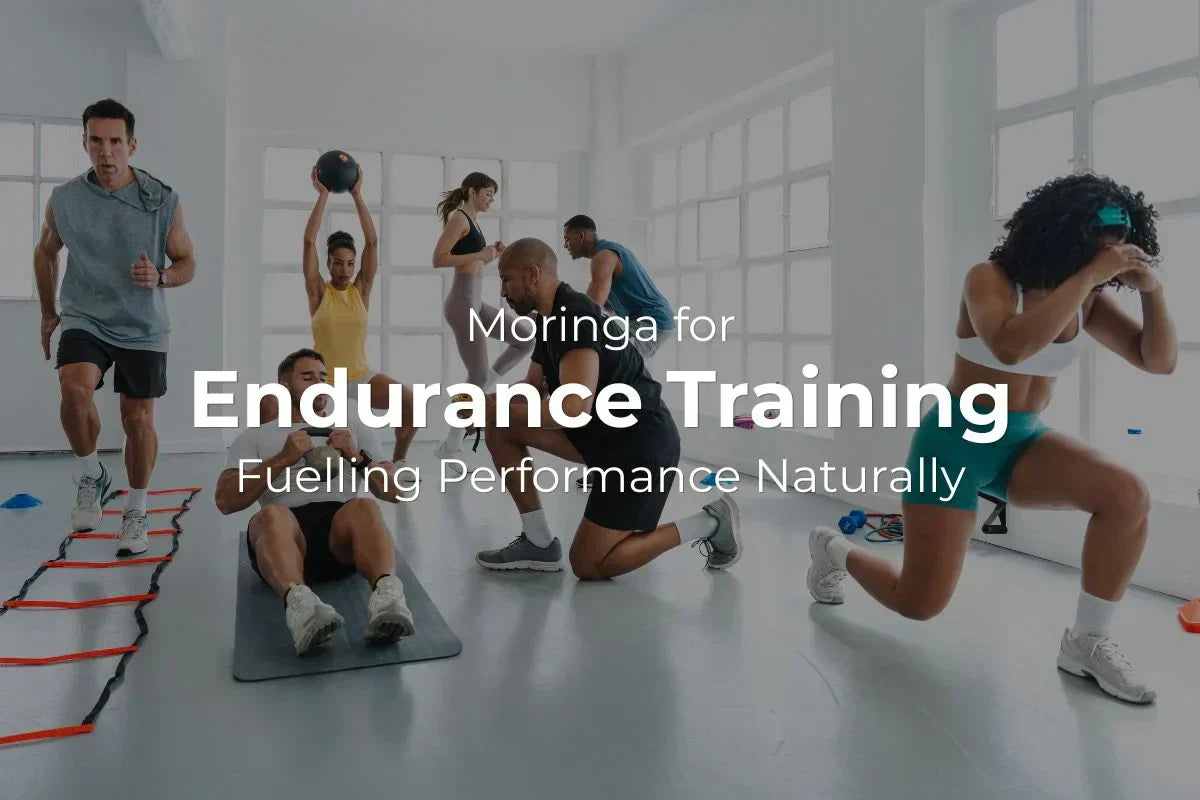 Moringa for Endurance Training: Fuelling Performance Naturally
