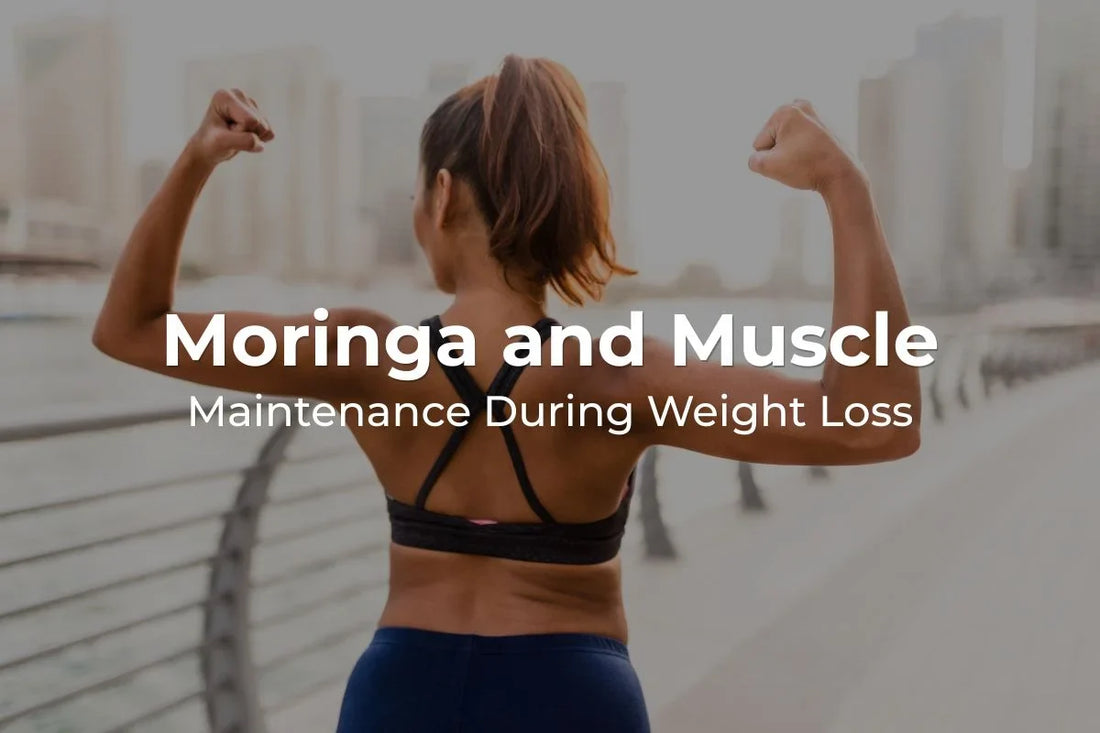 Moringa and Muscle Maintenance During Weight Loss