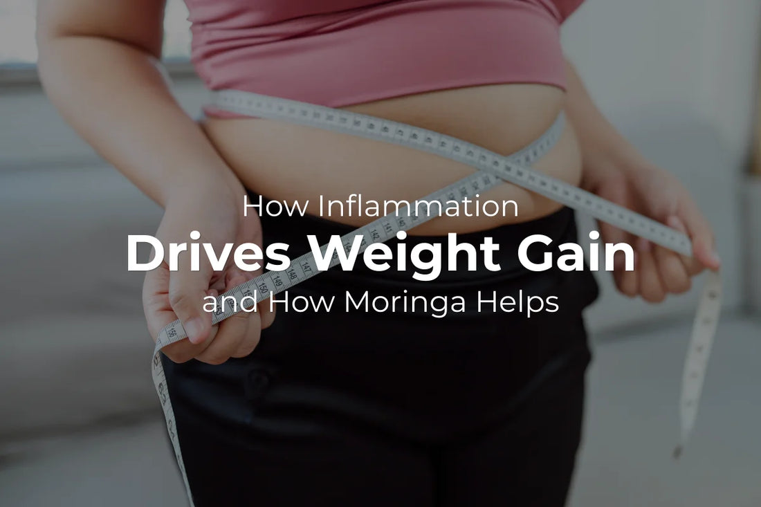 How Inflammation Drives Weight Gain and How Moringa Helps