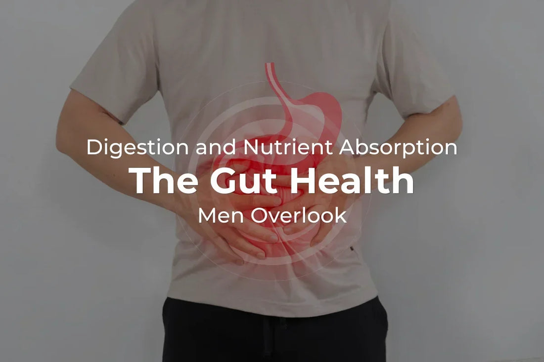 Digestion and Nutrient Absorption: The Gut Health Men Overlook