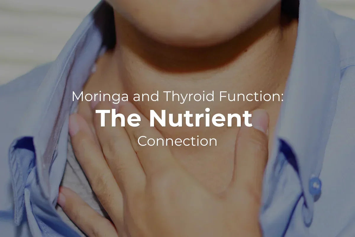 Moringa and Thyroid Function: The Nutrient Connection