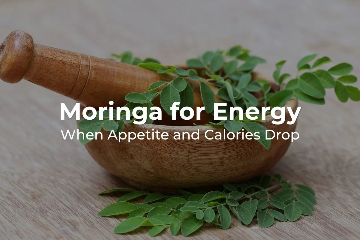 Moringa for Energy When Appetite and Calories Drop