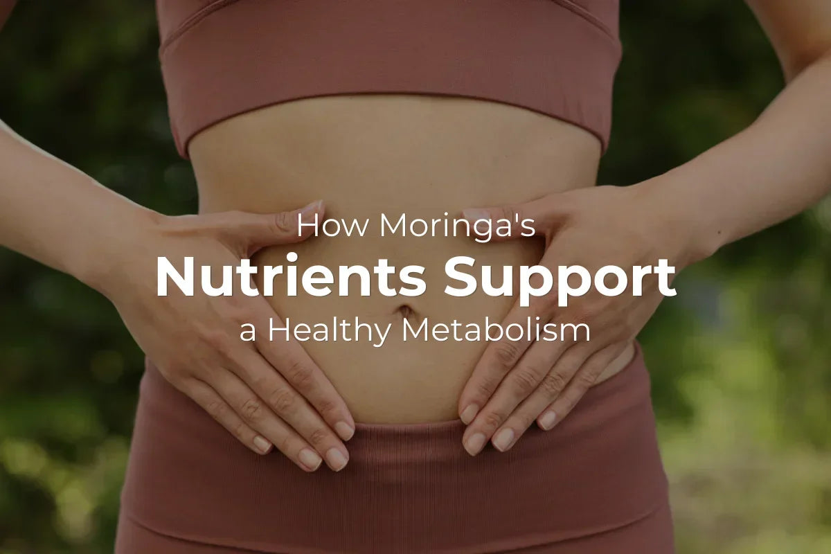 How Moringa's Nutrients Support a Healthy Metabolism