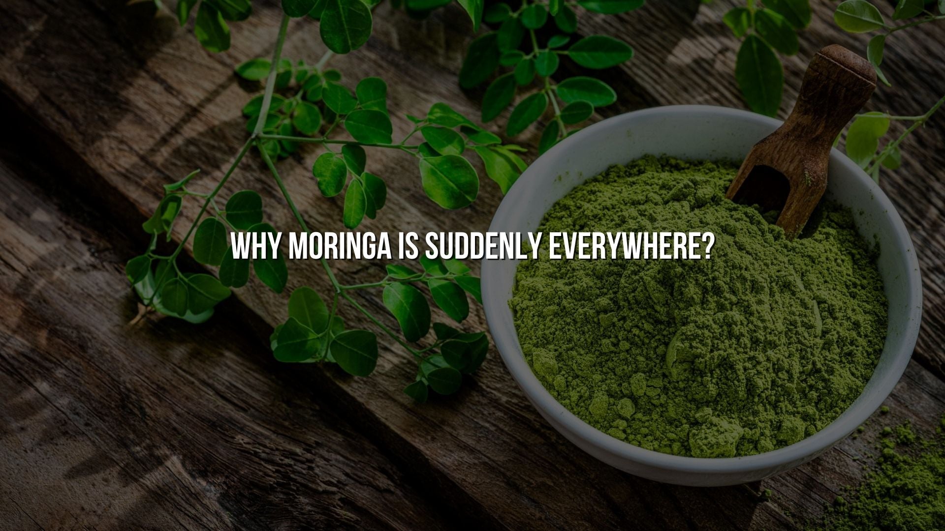 Why Moringa Is Suddenly Everywhere