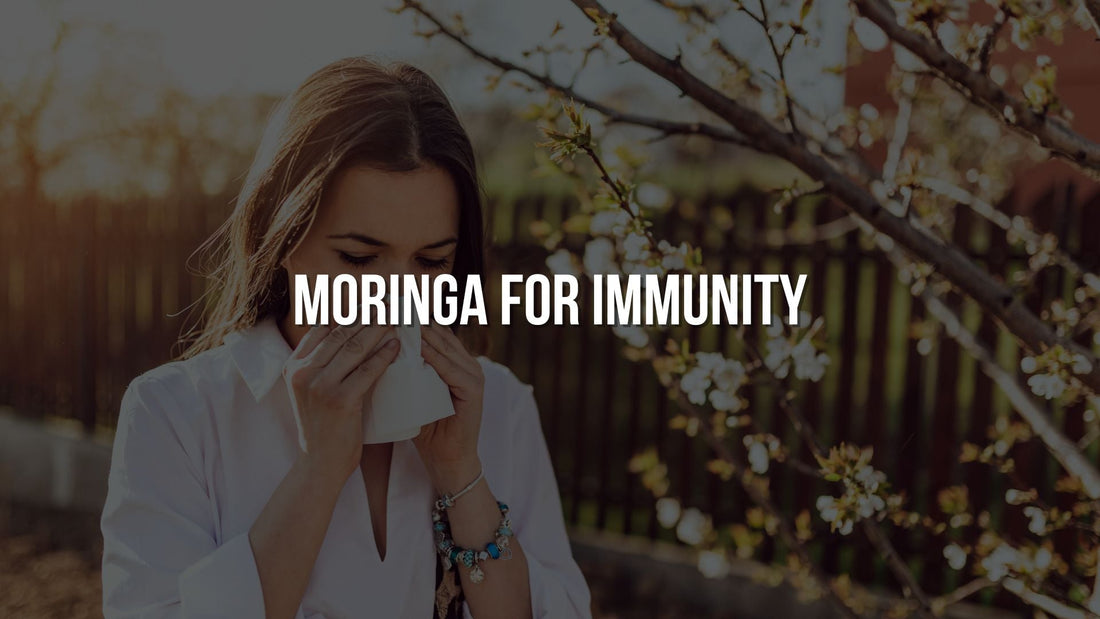 Moringa for Immunity
