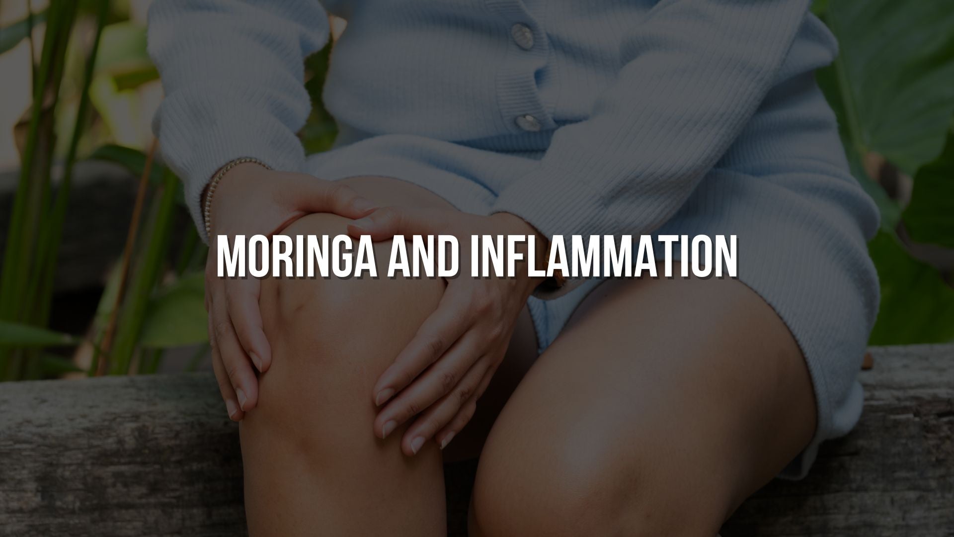 Moringa and Inflammation