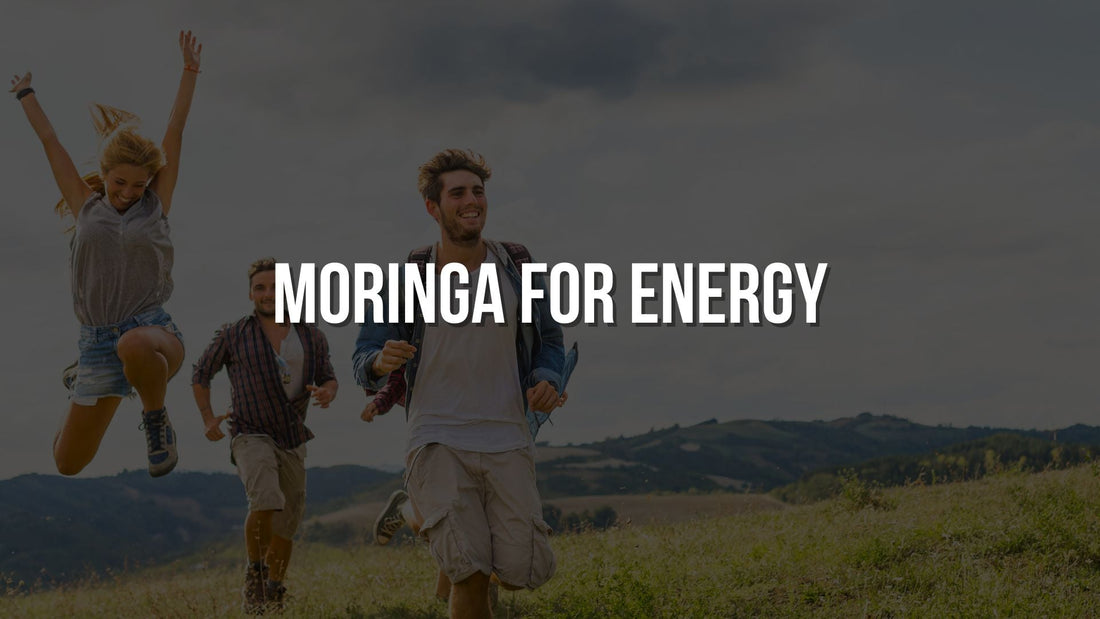 Moringa for Energy