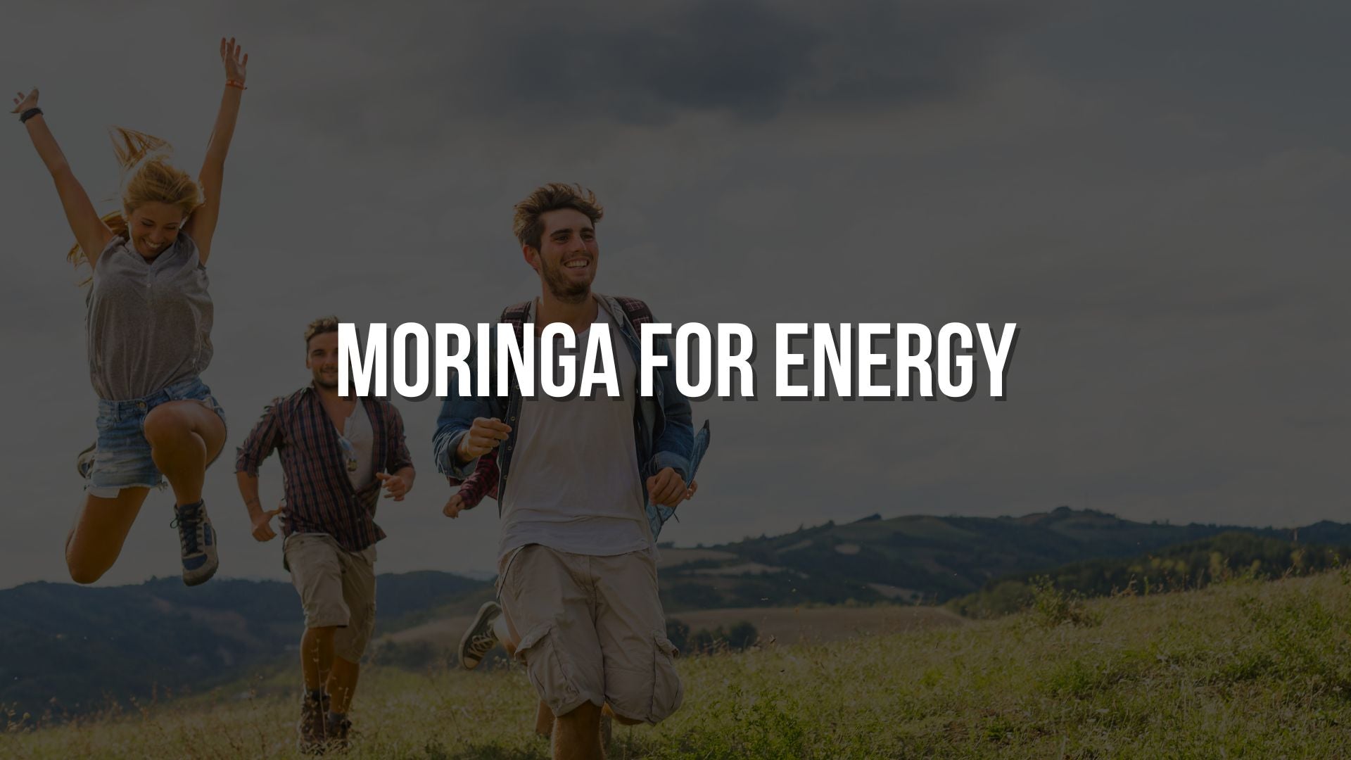 Moringa for Energy