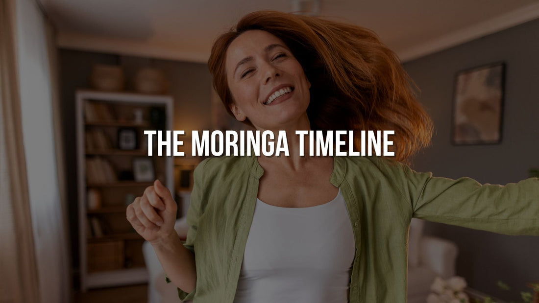 The Moringa Timeline