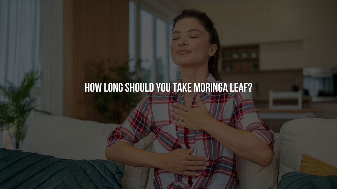 How Long Should You Take Moringa Leaf