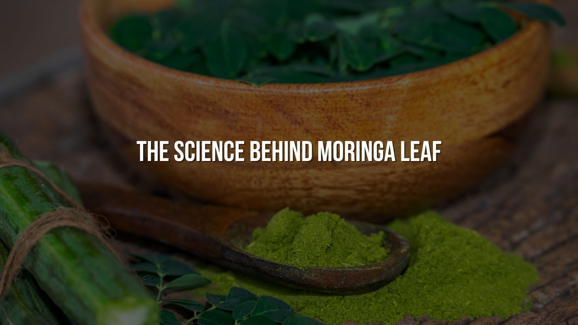The Science Behind Moringa Leaf 